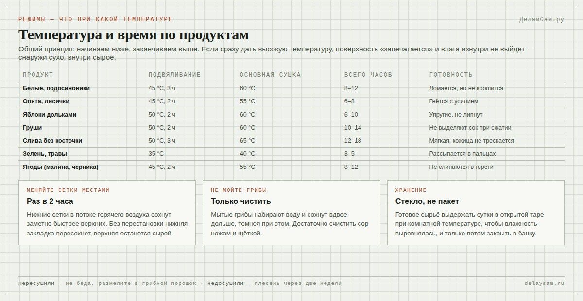 Температура и время сушки грибов, фруктов и зелени