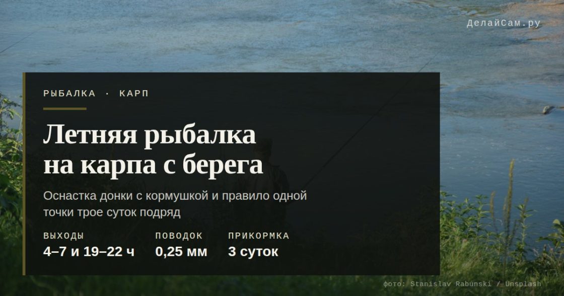 Летняя рыбалка на карпа с берега