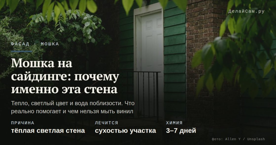 Мошка на сайдинге: почему её тянет на эту стену