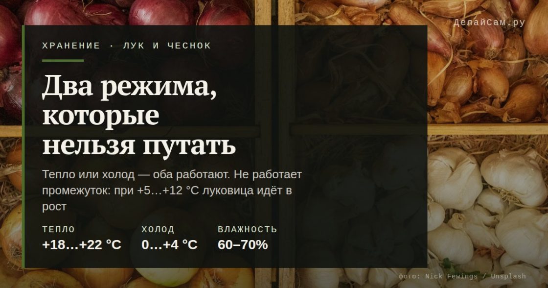 Как хранить лук и чеснок: два режима