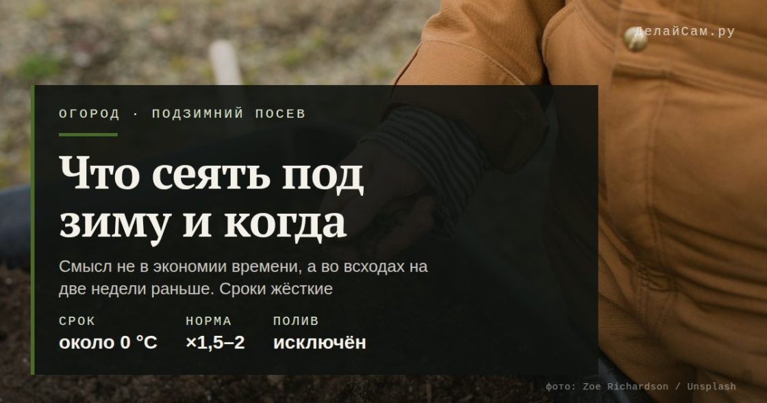 Подзимний посев: что и когда сеять