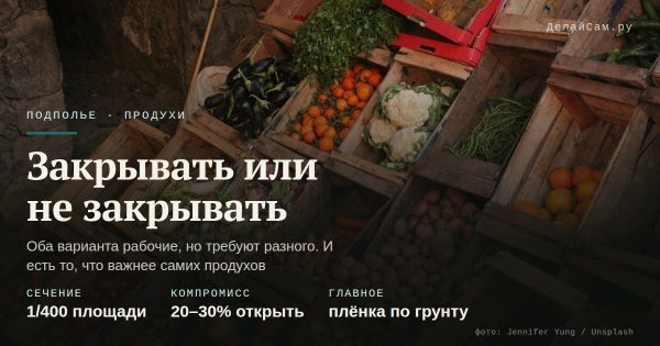 Продухи в подполье: закрывать или нет