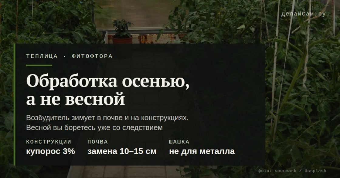 Чем обработать теплицу от фитофторы осенью