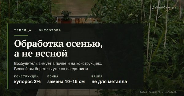 Чем обработать теплицу от фитофторы осенью