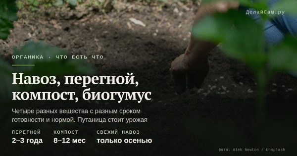 Навоз, перегной, компост и биогумус: чем отличаются