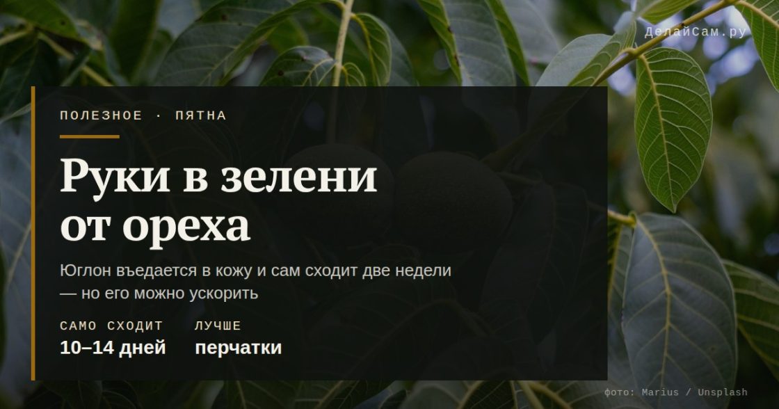Как отмыть руки от зелёной кожуры грецкого ореха