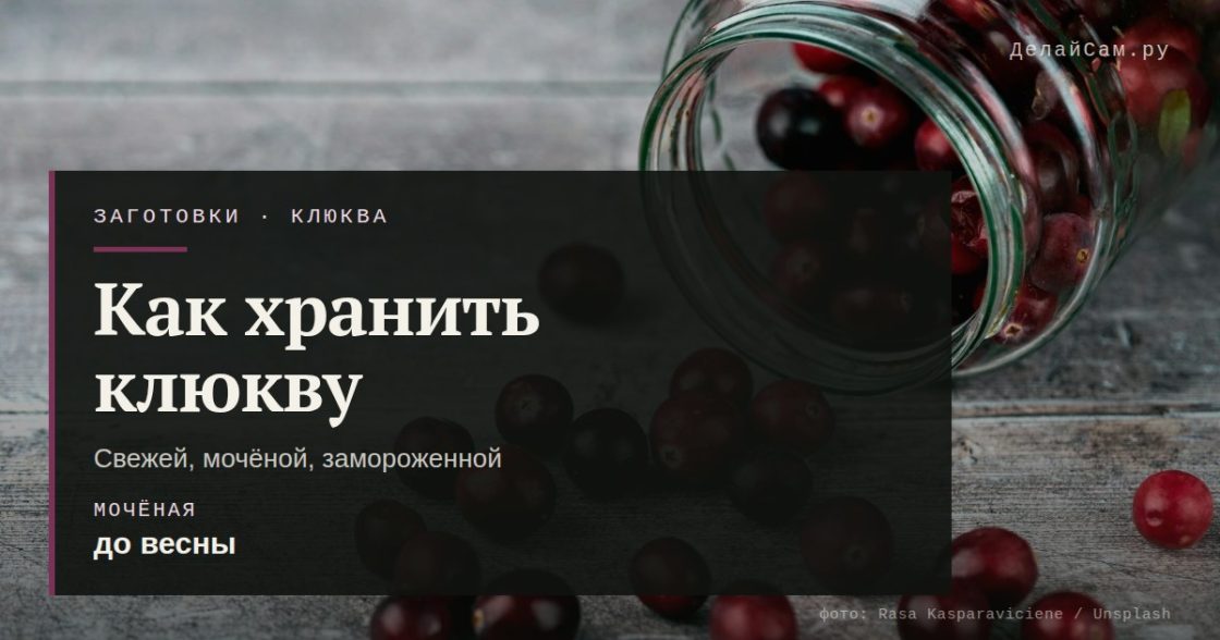 Как хранить клюкву