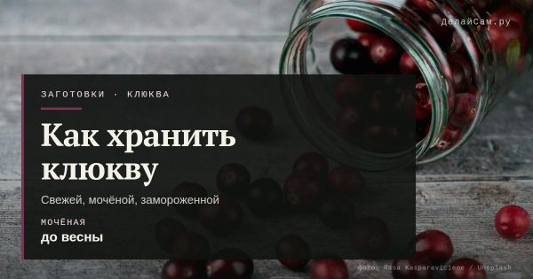Как хранить клюкву