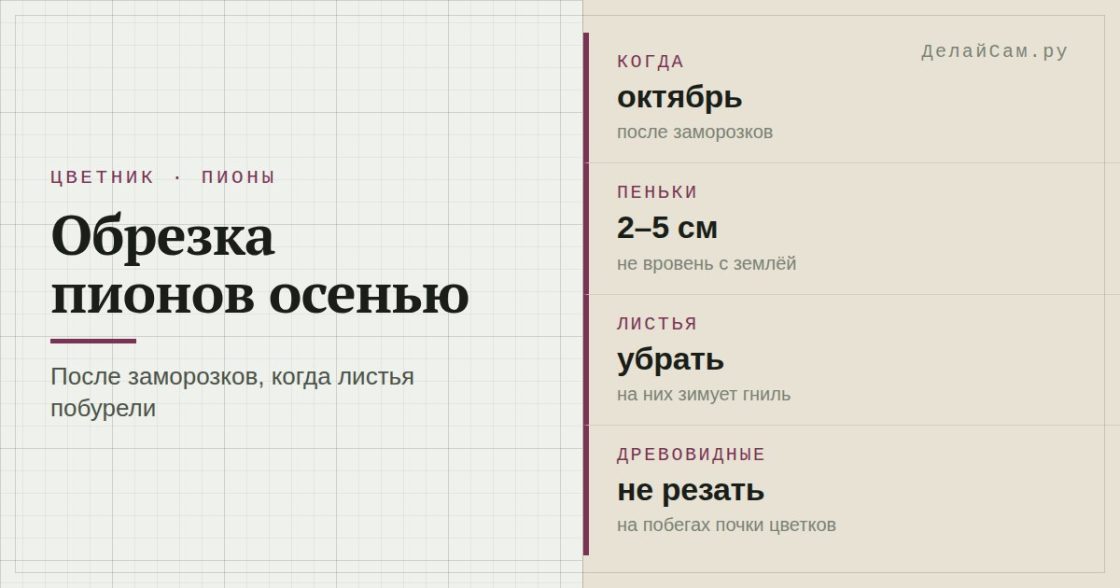 Обрезка пионов осенью