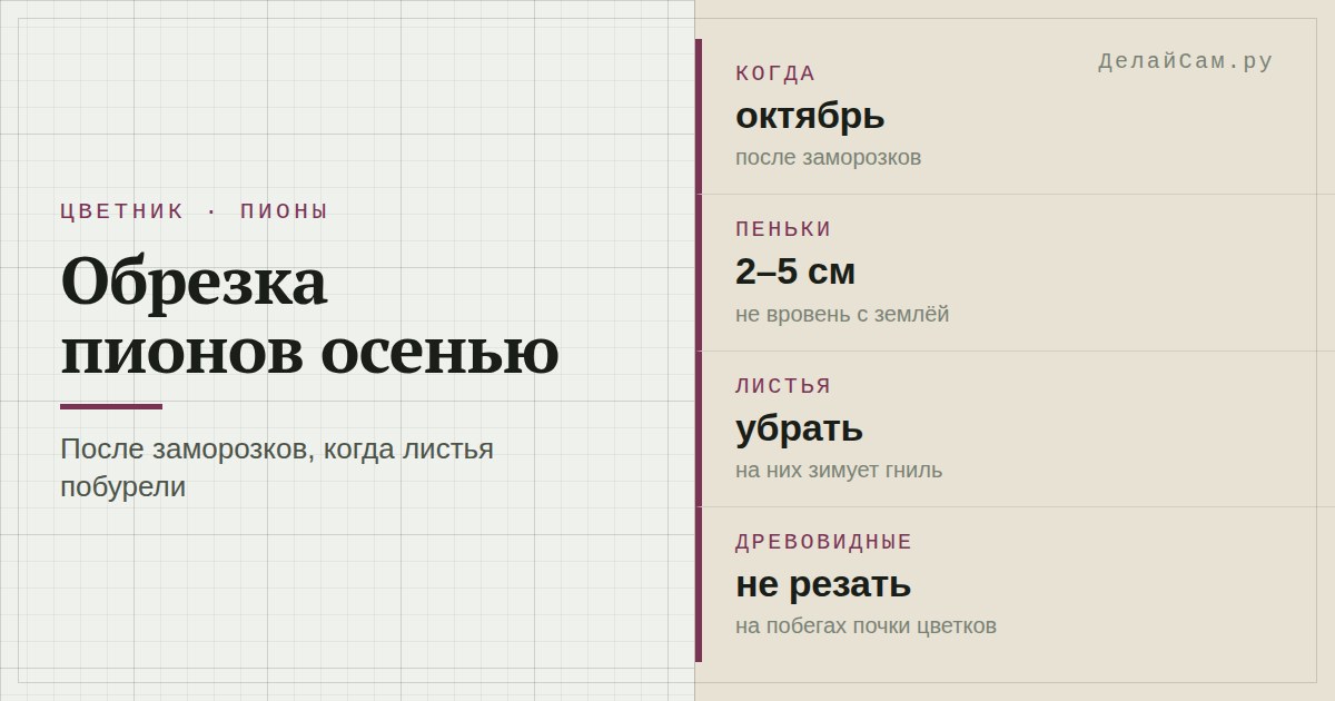 обрезка пионов осенью
