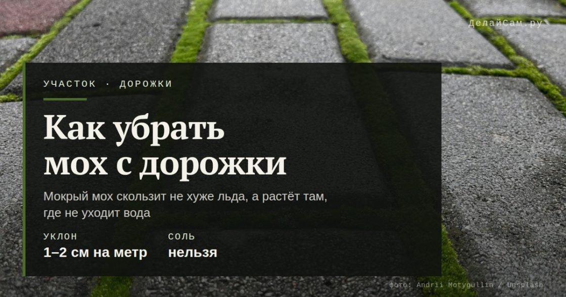 Как убрать мох с садовой дорожки