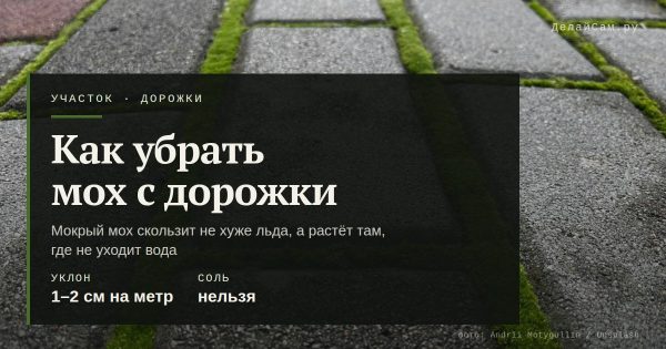 Как убрать мох с садовой дорожки
