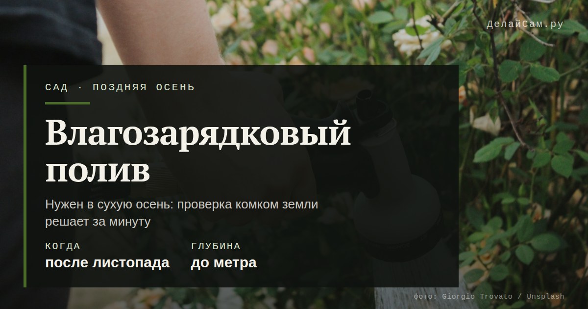 влагозарядковый полив осенью