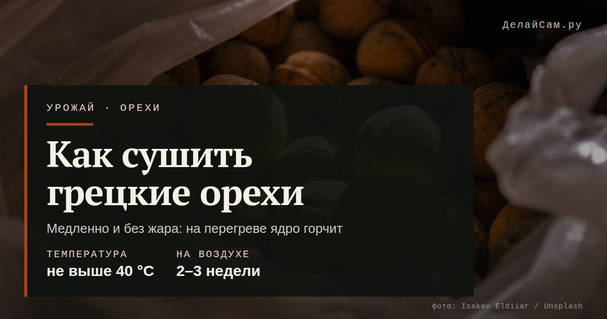 как сушить грецкие орехи