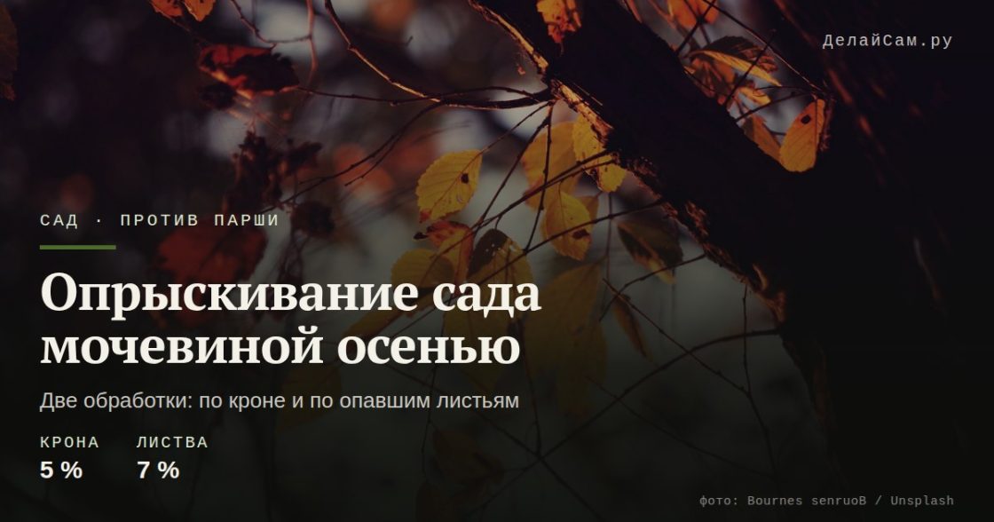 Опрыскивание сада мочевиной осенью