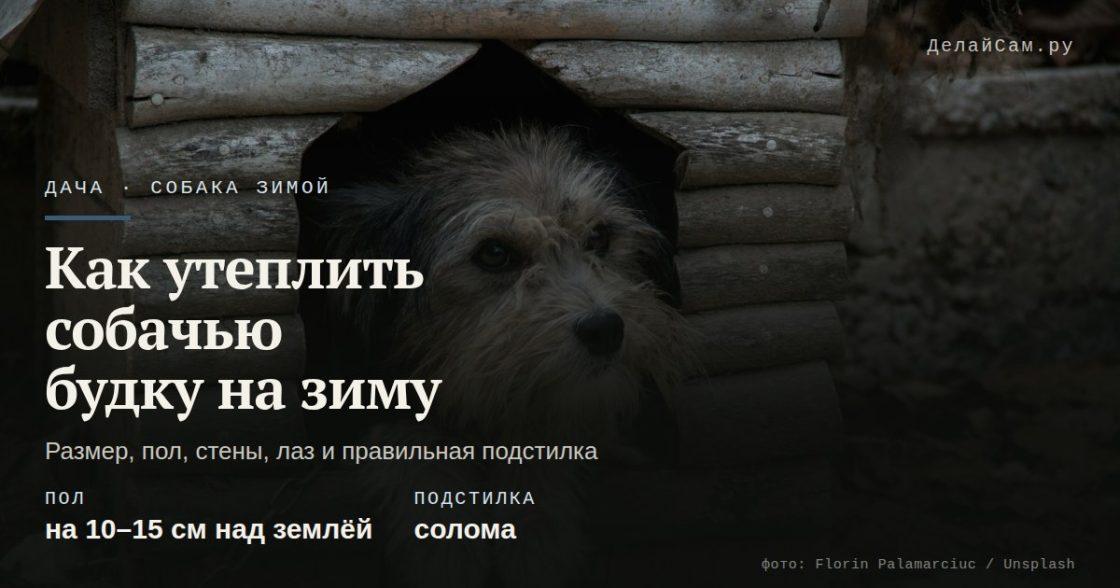 Как утеплить собачью будку на зиму