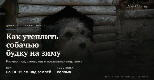 Как утеплить собачью будку на зиму