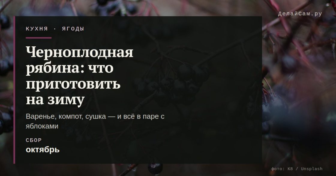 Черноплодная рябина: что приготовить на зиму