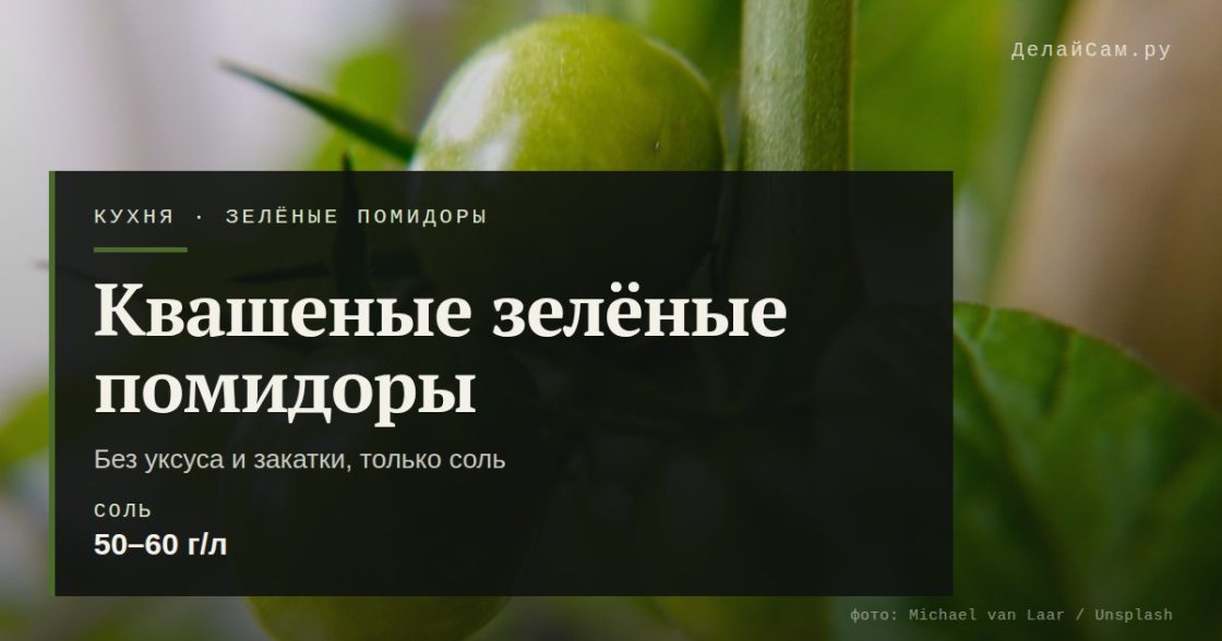 Квашеные зелёные помидоры