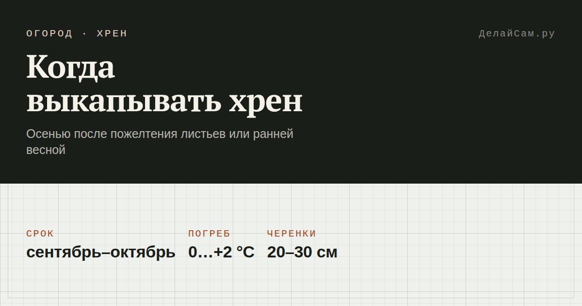 когда выкапывать хрен