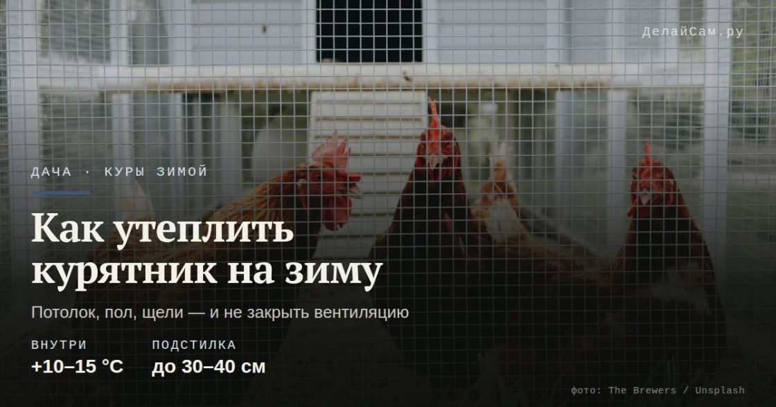 Как утеплить курятник на зиму