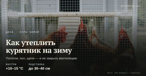 Как утеплить курятник на зиму
