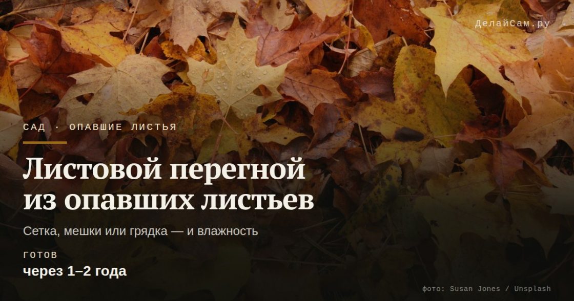Листовой перегной из опавших листьев