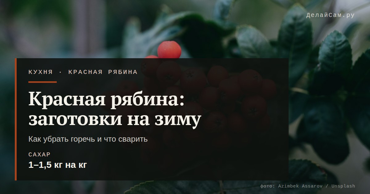 красная рябина заготовки на зиму
