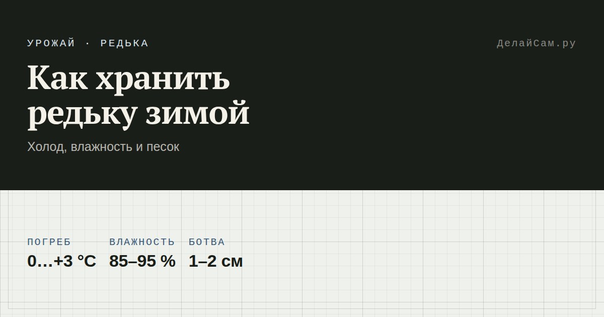 как хранить редьку зимой