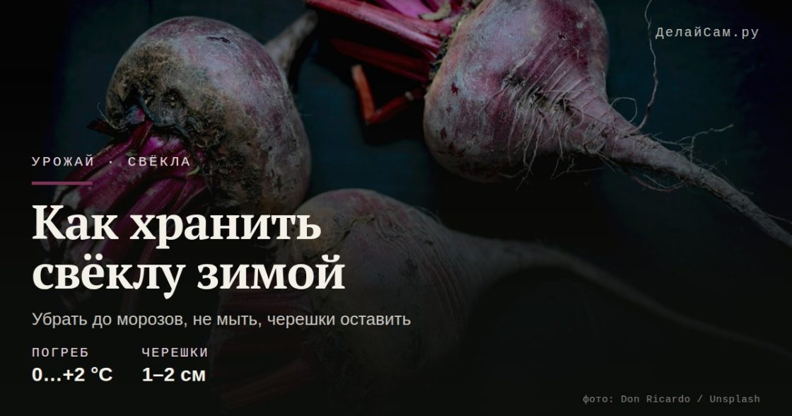 Как хранить свёклу зимой