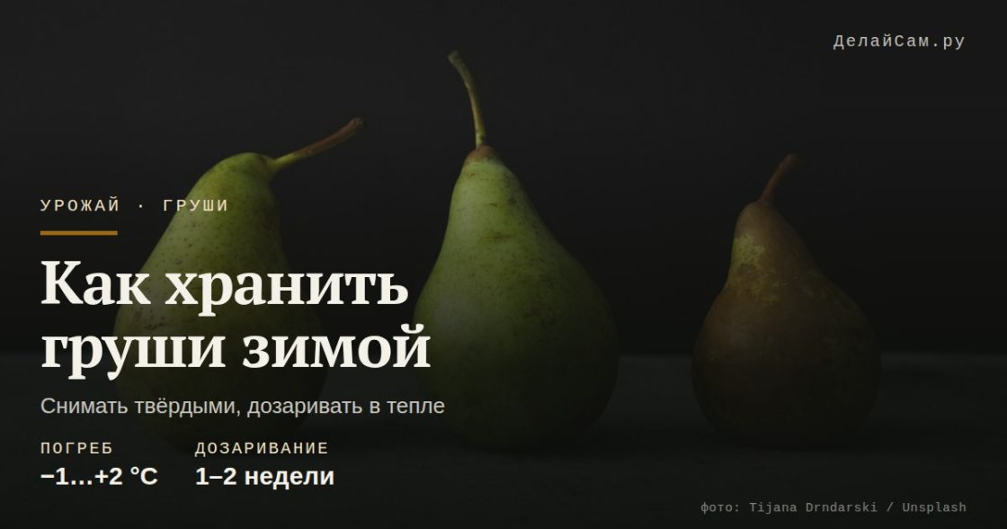 Как хранить груши зимой