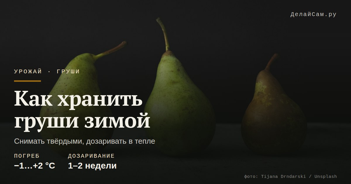 как хранить груши зимой
