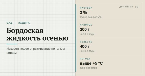 Обработка сада бордоской жидкостью осенью