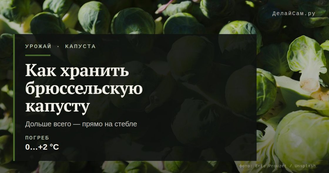Как хранить брюссельскую капусту