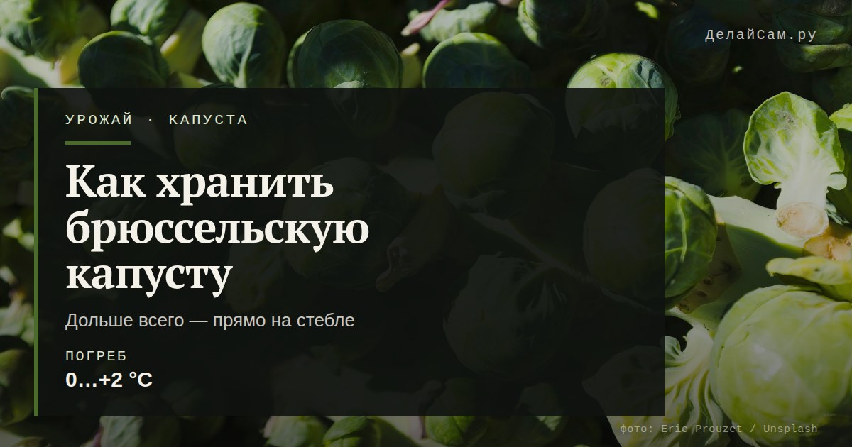 как хранить брюссельскую капусту