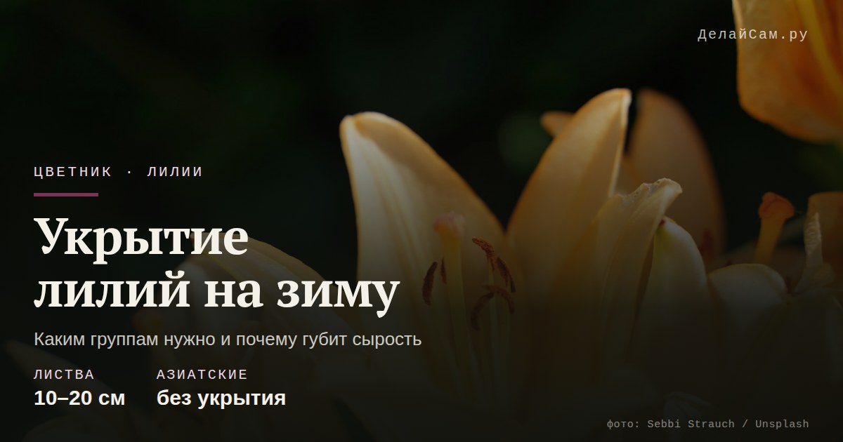укрытие лилий на зиму
