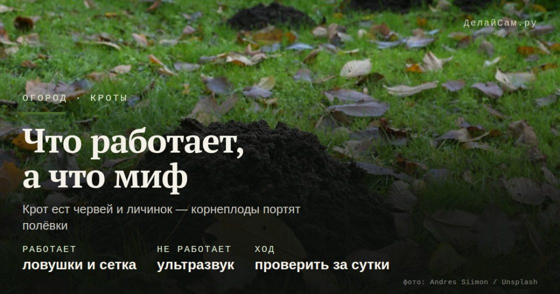 Кроты: что реально работает, а что миф