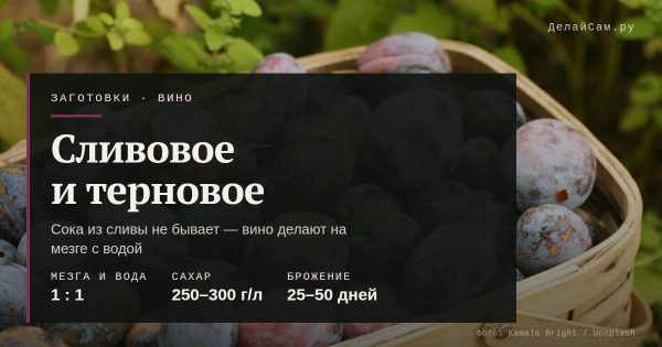 Сливовое и терновое вино в домашних условиях