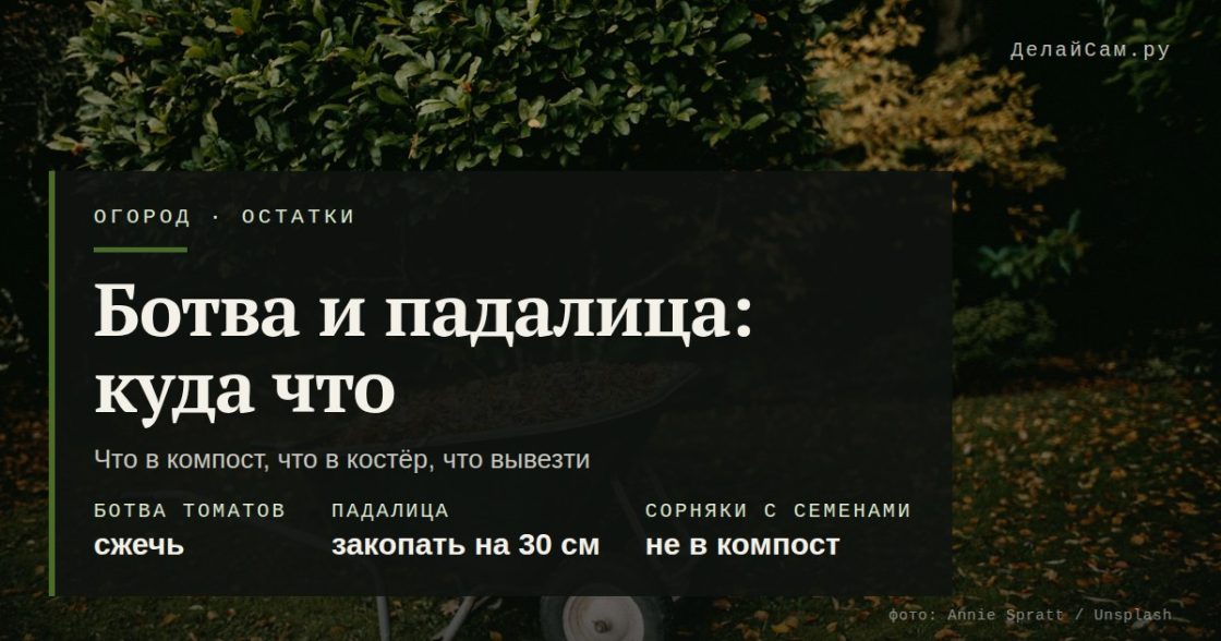 Ботва и падалица: что в компост, а что вывезти