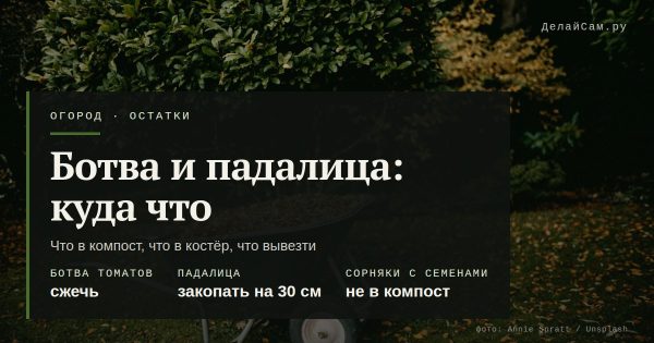 Ботва и падалица: что в компост, а что вывезти