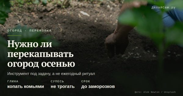 Нужно ли перекапывать огород осенью