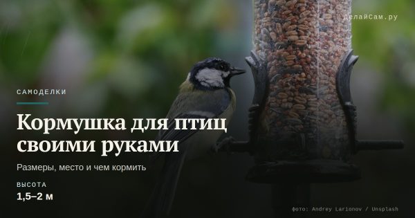Кормушка для птиц своими руками