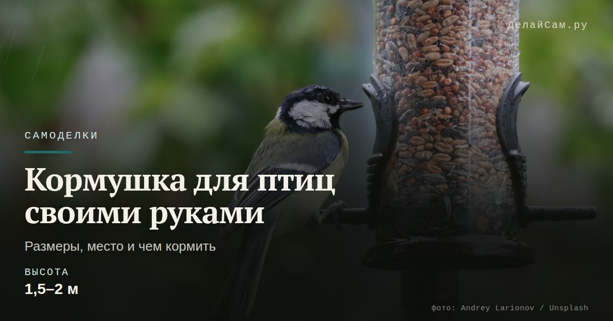 как сделать кормушку для птиц