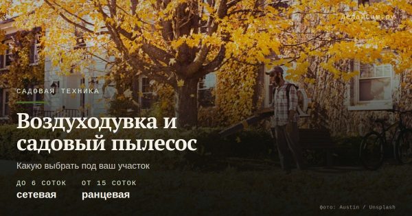 Садовый пылесос-воздуходувка: как выбрать