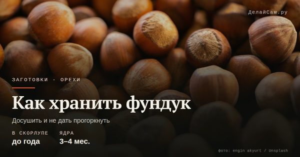 Как хранить фундук
