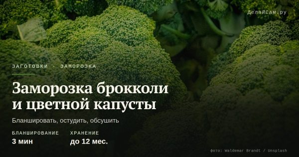 Заморозка брокколи и цветной капусты