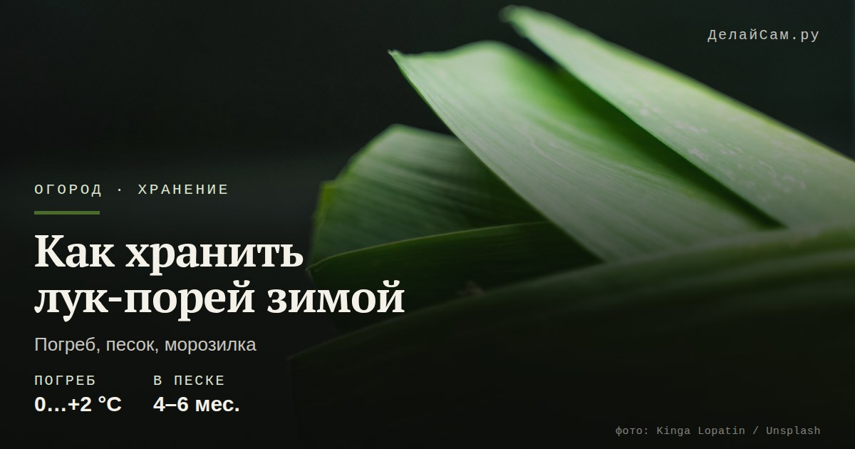 как хранить лук-порей зимой