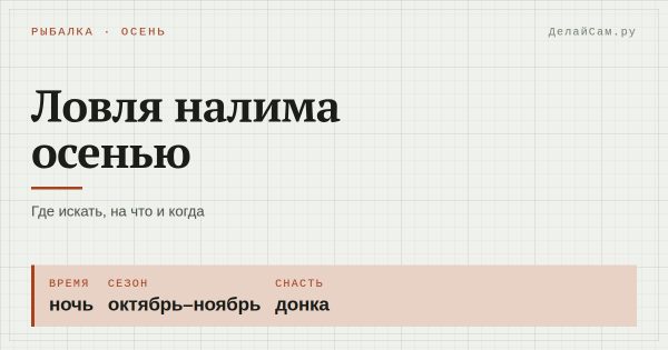 Ловля налима осенью