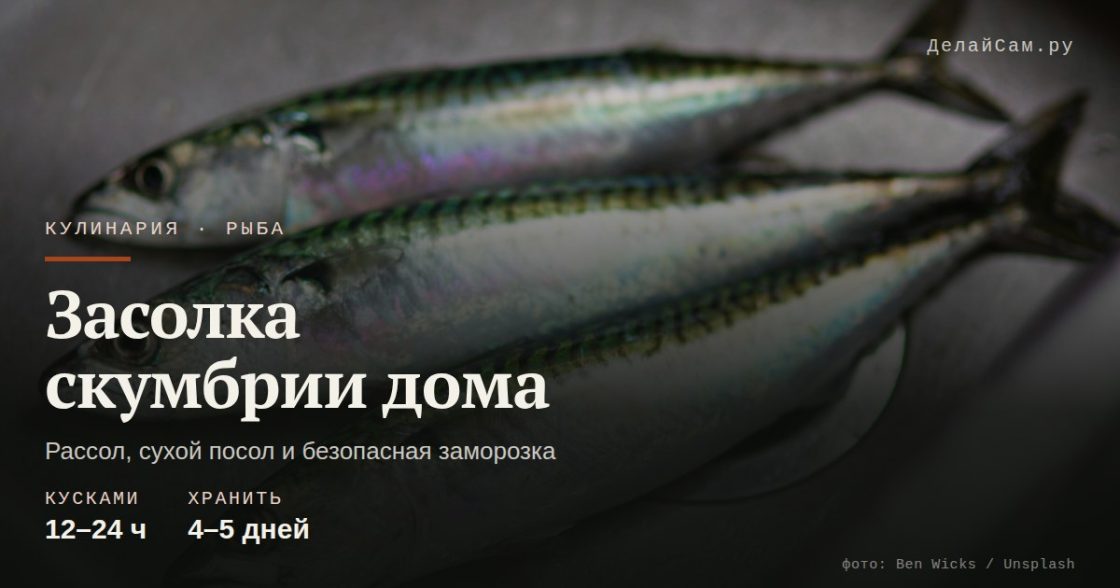 Засолка скумбрии дома