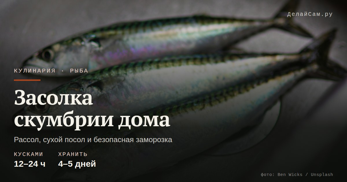 засолка скумбрии дома